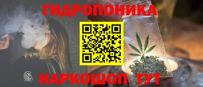 трава Новодвинск