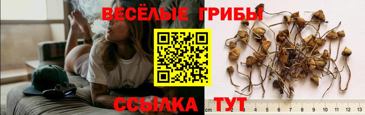 Галлюциногенные грибы MAGIC MUSHROOMS  Вход с VPN  Серпухов 